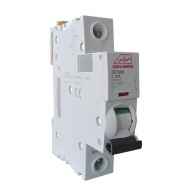 automatic fuse 20a b shellenberg